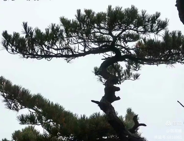 大美黄山2018.11.6